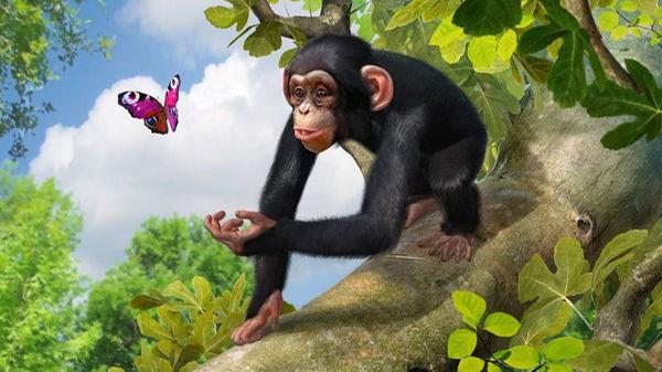 Produktbild Microsoft Zoo Tycoon: Ultimate Animal Collection