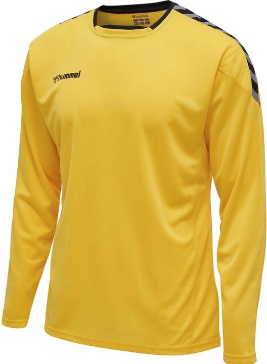 Image du produit hummel Authentic Poly Jersey L/S (S)