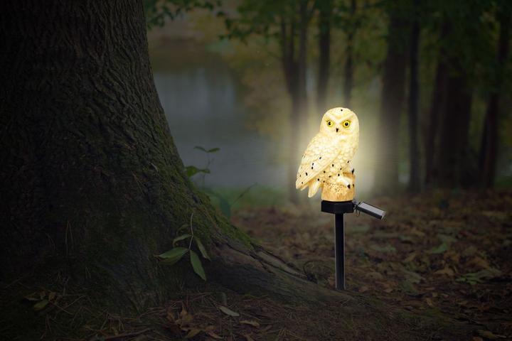 Actual product image Globo Solar light black 1xLED (IP44)
