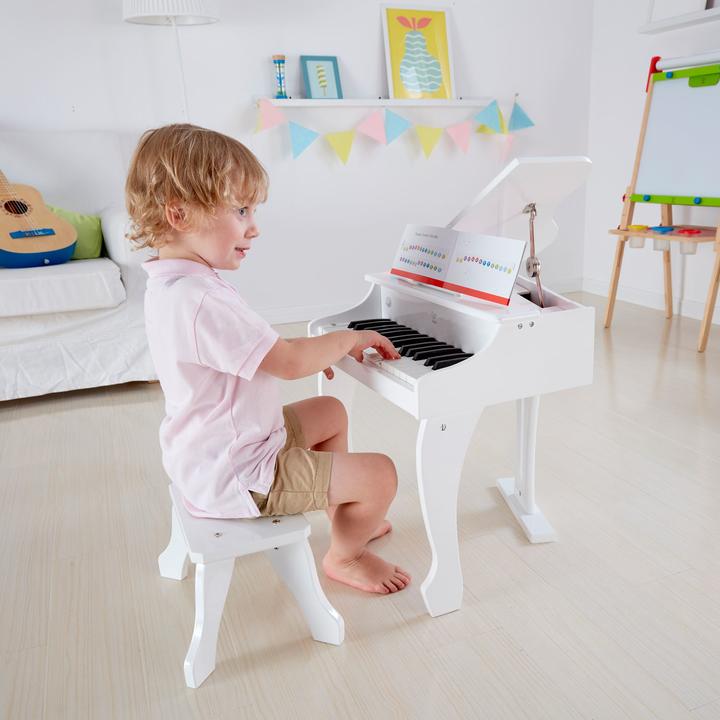 Actual product image Hape Luxury wings