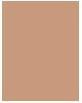 Actual product image Shiseido Synchro Skin Self-Refreshing (310 Silk)