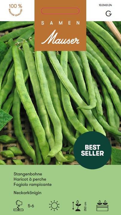 Samen Mauser pole bean Neckar Queen (Vegetable seeds)