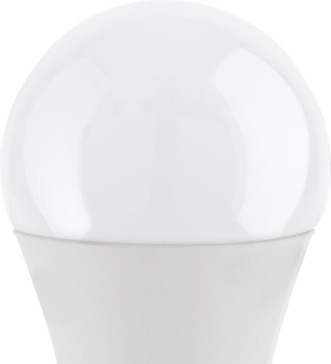 Actual product image EGLO E27 LED A60 9W 4000K OPAL (E27, 4.90 W, 806 lm, 1 x, F)