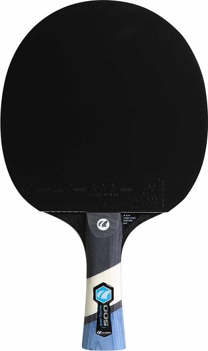 Actual product image Cornilleau Perform 500
