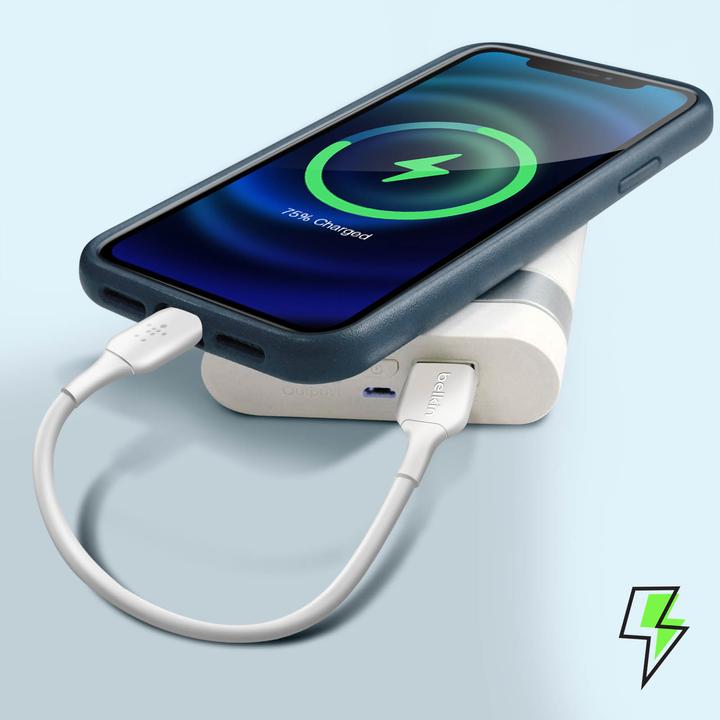 Actual product image Belkin Boost Charge USB-A - Lightning (0.15 m, USB 2.0)