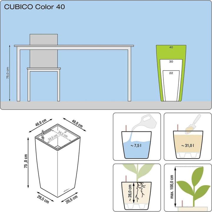Actual product image Lechuza cubico (39.50 cm)