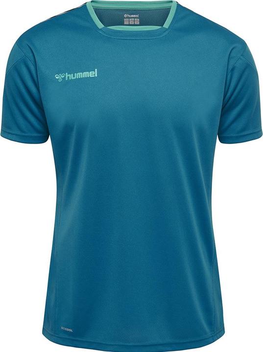 Image du produit hummel Authentic Kids Poly Jersey S/S (164)