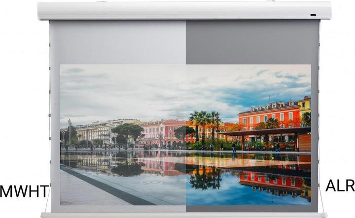 Produktbild Celexon HomeCinema Dynamic Slate ALR (120", 16:9)