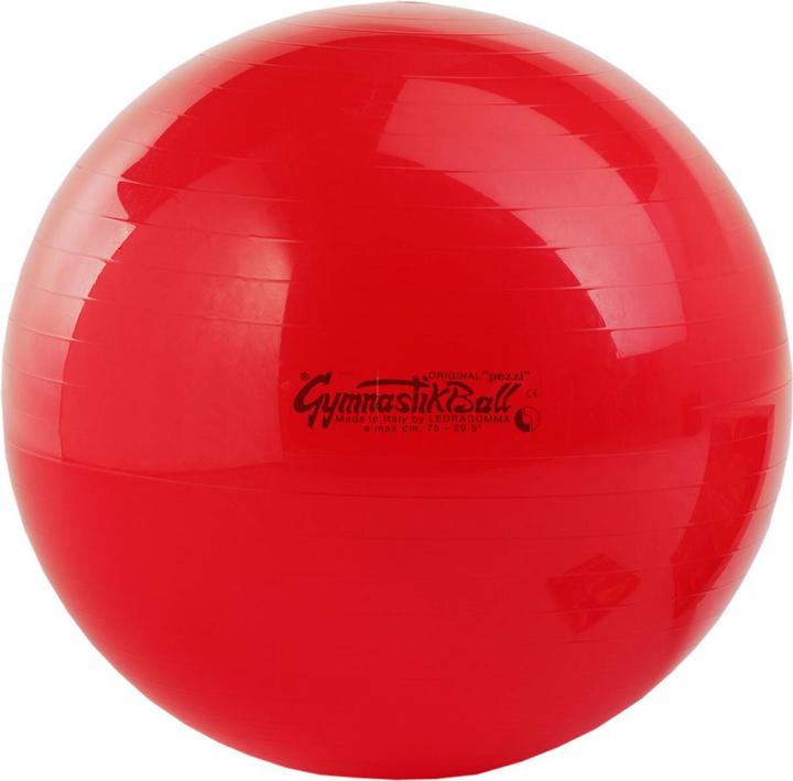 Immagine prodotto Schupp Palla da ginnastica Original Pezzi 75 cm rosso (75 cm)