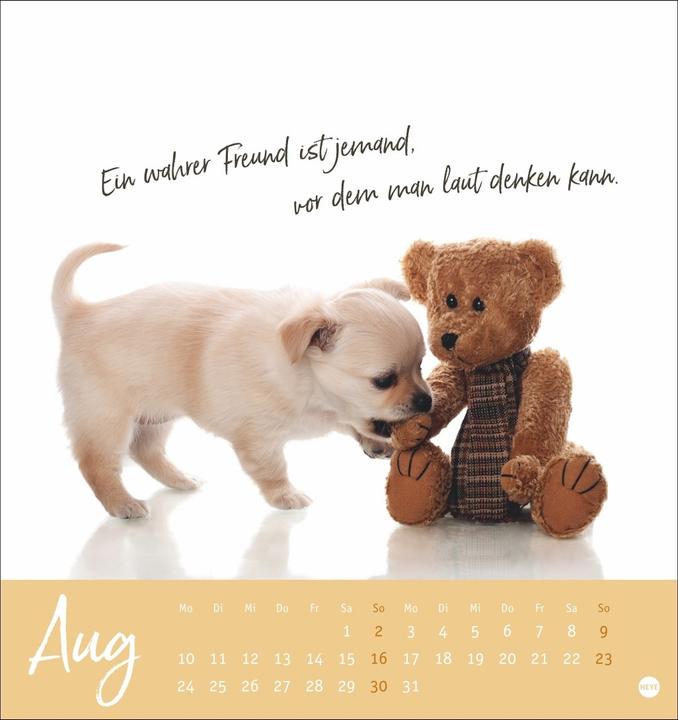 Image du produit Ziemlich beste Freunde Postkartenkalender 2026 - Für immer dein (Couverture rigide, Allemand)