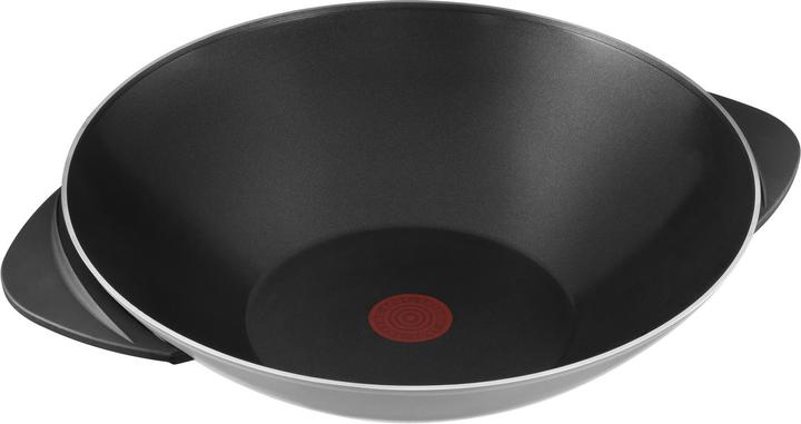 Actual product image Tefal Wo 3000.10