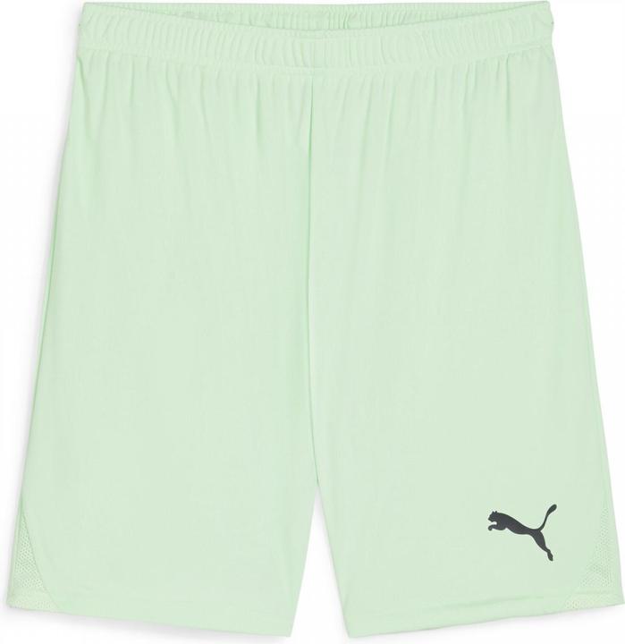 Actual product image Puma teamGOAL shorts (M)