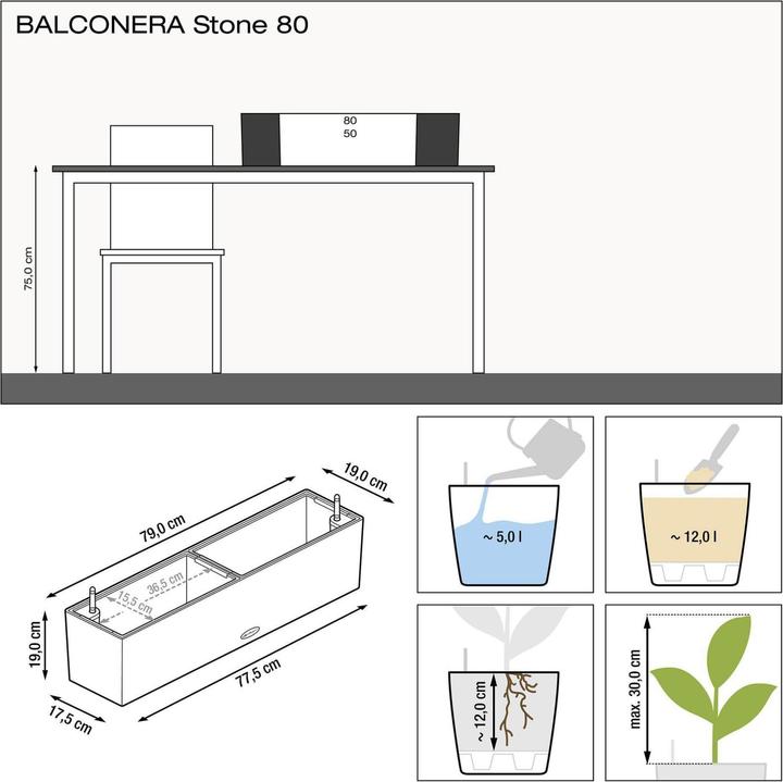 Immagine prodotto Lechuza Balconera (19 cm)