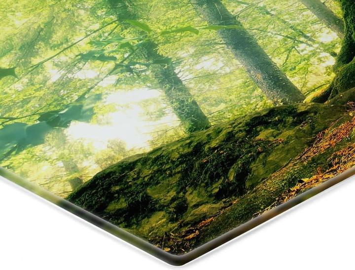 Image du produit Trenddeko Kiciak - La forêt des contes de fées (60 x 40 cm)