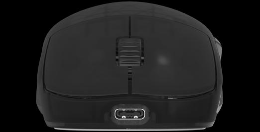 Actual product image Endgame Gear OP1w 4k Wireless Gaming Maus, kabellos - Dark Frost (Wireless)