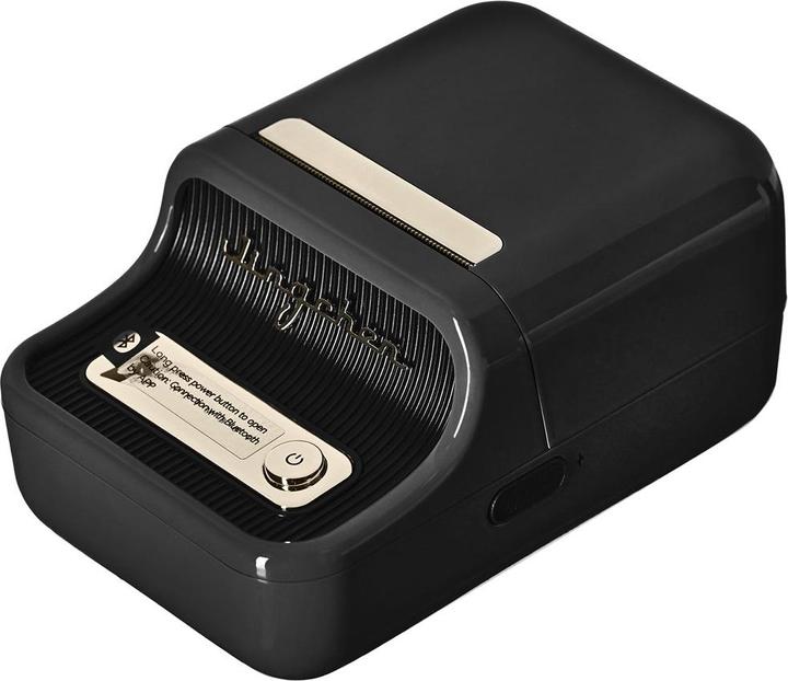 Actual product image Niimbot B21 (203 dpi)