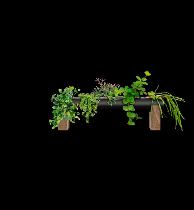 Pendularis Set 0.5 Royal mt pieds en bois (Noir) (50 cm)