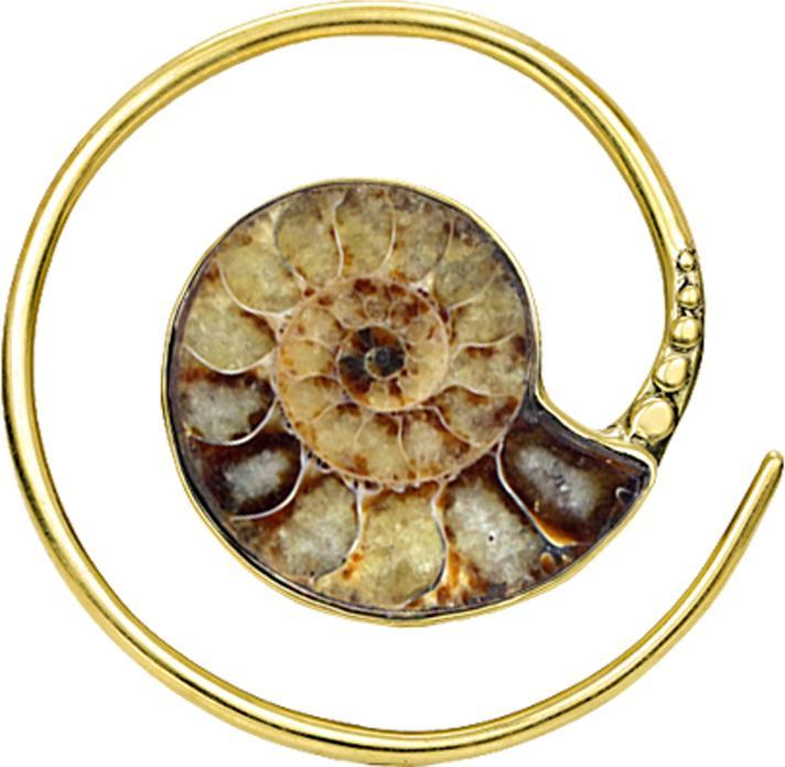 Immagine prodotto Star Piercing Anello a spirale placcato oro (Acciaio chirurgico 316L)