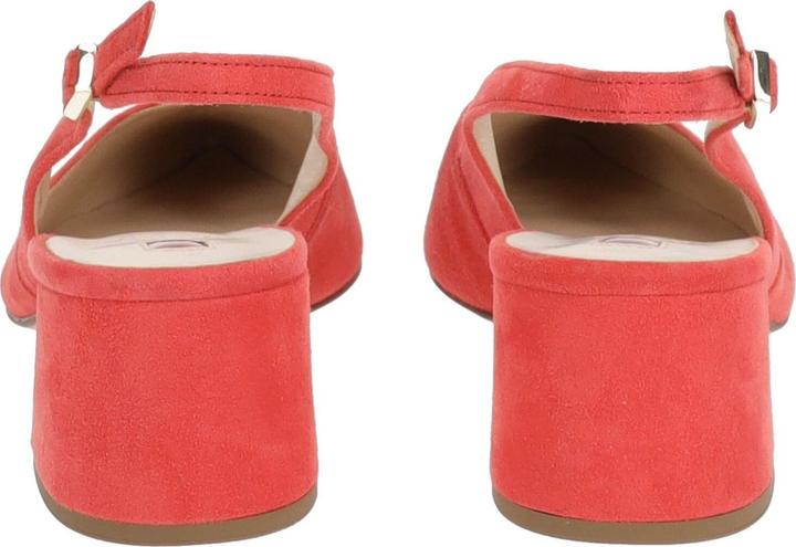 Image du produit Högl Pumps (34.5)