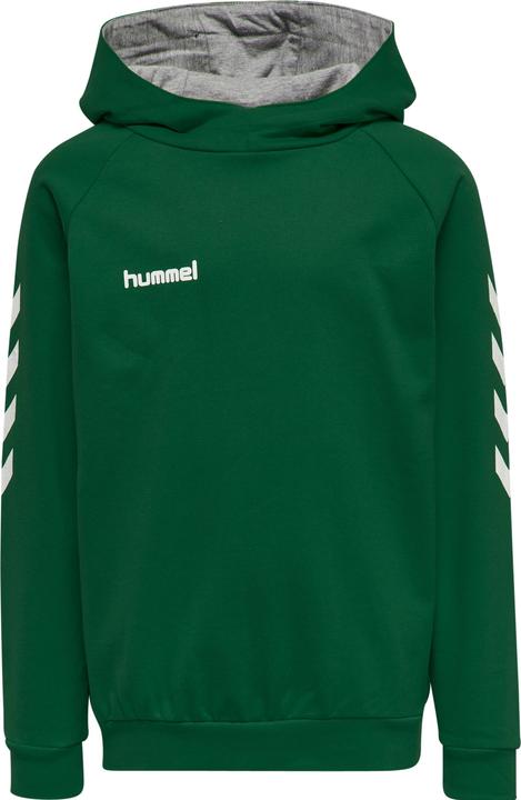 Actual product image hummel Go Kids Cotton Hoodie (164)
