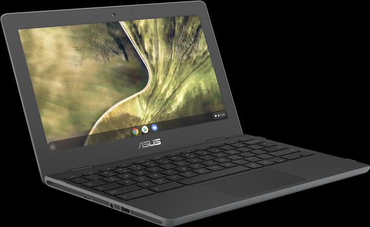 Actual product image ASUS Chromebook C204MA (11.60", Intel Celeron N4000, 4 GB, 32 GB, DE)