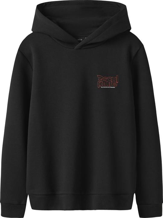 Lmtd Langarm Hoodie (170)