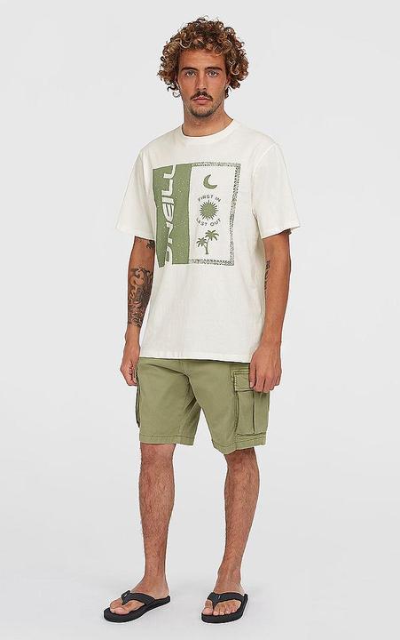 Immagine prodotto O'Neill Essentials Cargo Shorts (32)