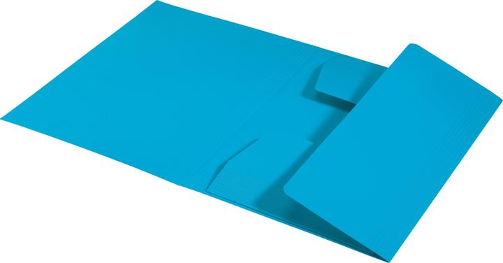 Actual product image Leitz Inlay Folder Juris Folder A4 Blue (A4, 1 x)