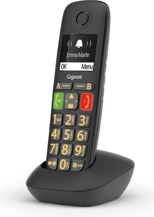 Actual product image Gigaset E290HX