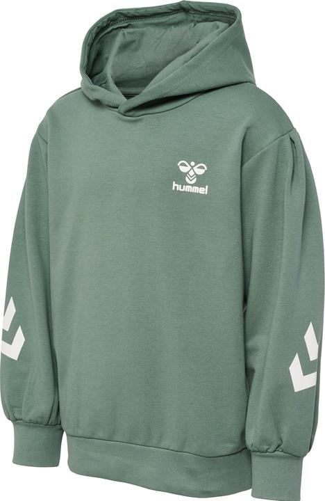 Image du produit hummel hmlDUE HOODIE (128)