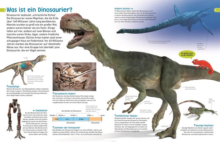 Actual product image memo Wissen entdecken. Dinosaurier (German, Dorling Kindersley, 2018)