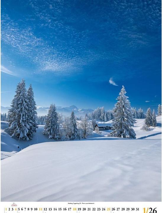 Produktbild Swiss Photo Poster 2026 (50 x 68 cm, Deutsch)
