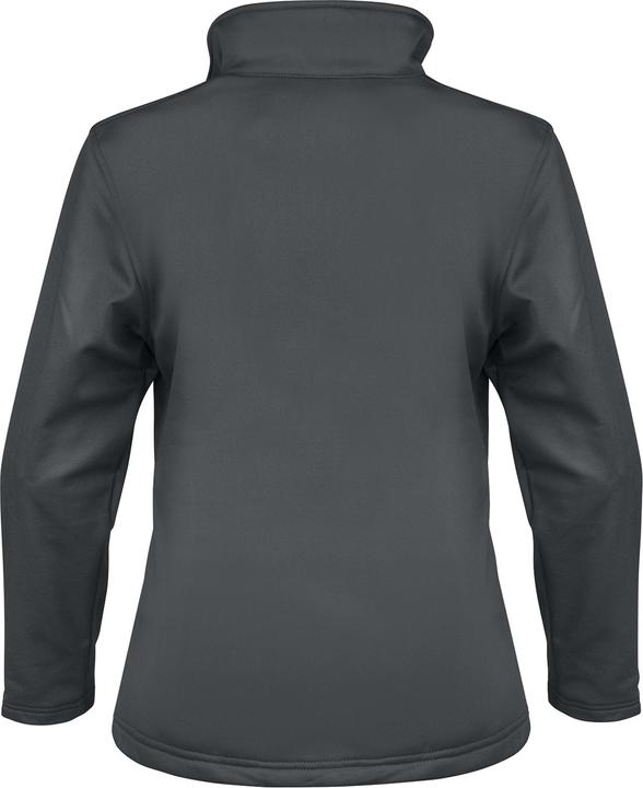 Actual product image Result Clothing Womens/Ladies Soft Shell Jacket (XS)