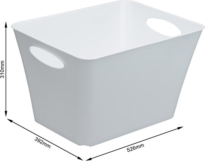 Immagine prodotto Rotho Livingbox (39,5 x 31 x 52,5 cm, 44 l)