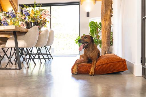 Produktbild Designed by Lotte Liegekissen (Hund)