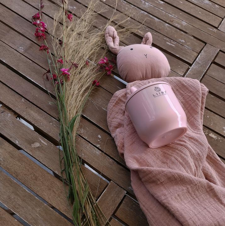 Image du produit Liini Adaptateur pour biberons Medela