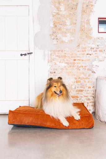 Produktbild Designed by Lotte Liegekissen Ribbed (Hund)