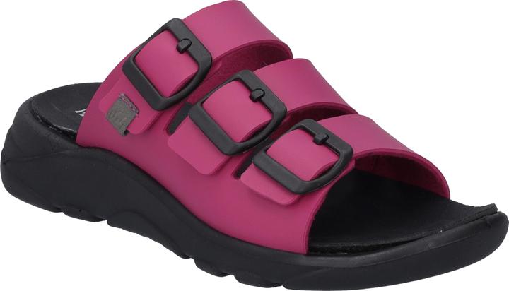 Fuchsia