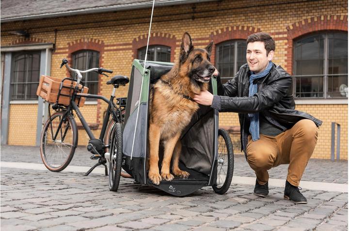 Image du produit Croozer Chien XXL