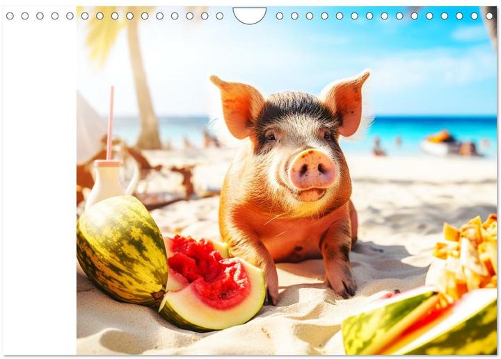 Actual product image Pigs in the Caribbean. Sun and spa with swimming pigs (Wall calendar 2025 DIN A (A4, No binding, German)