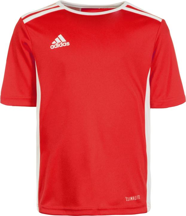 Produktbild adidas Entrada 18 Fussball (128)