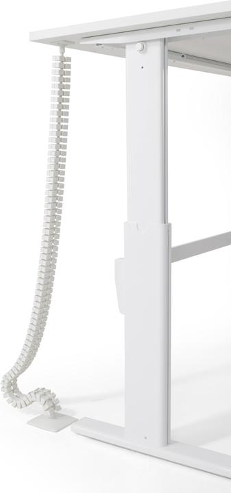 Actual product image Actiforce Cable chain (3.50 cm)