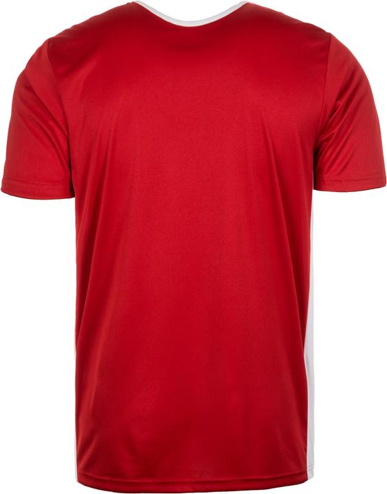 Image du produit adidas Entrada 18 Football (S)
