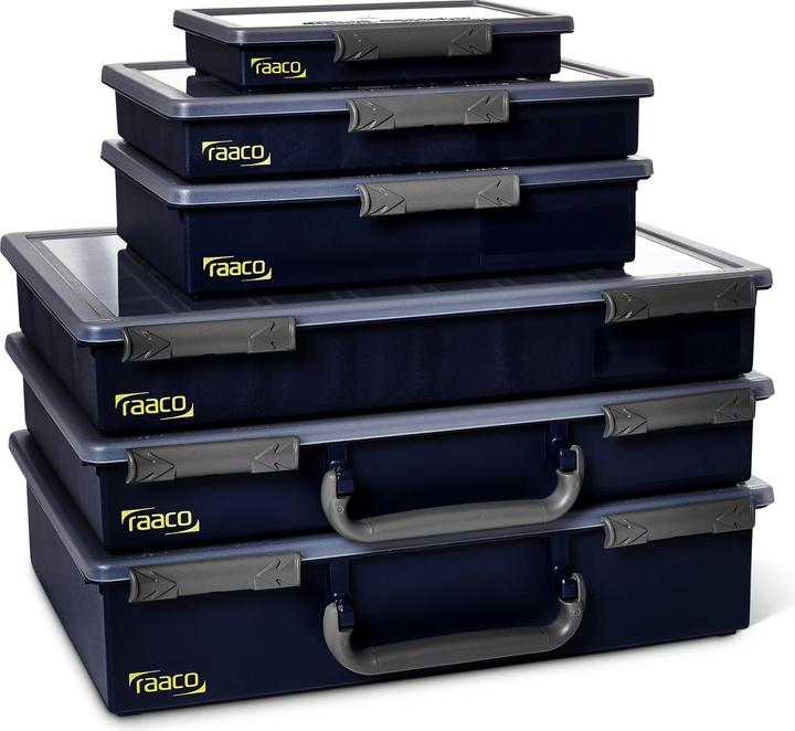 Immagine prodotto Raaco Assortimento 55