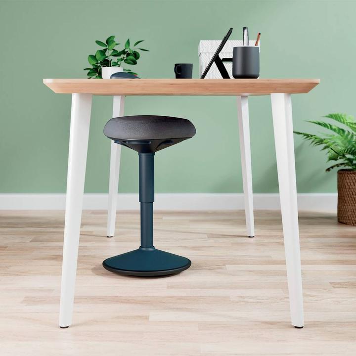 Produktbild Leitz Ergo Active