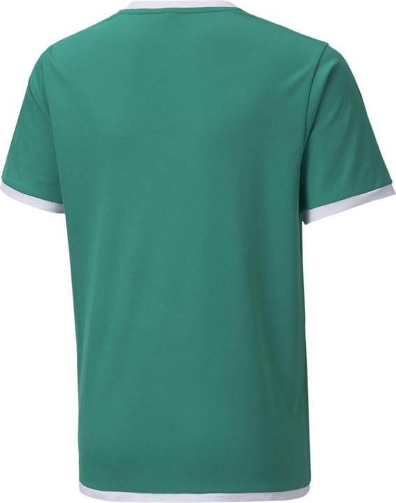 Actual product image Puma teamLIGA Jersey Jr-704925 (128)