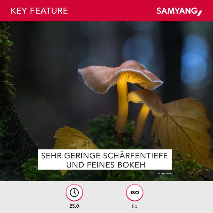 Image du produit Samyang 135mm f/2 ED UMC, Sony E (Sony E, Plein format)