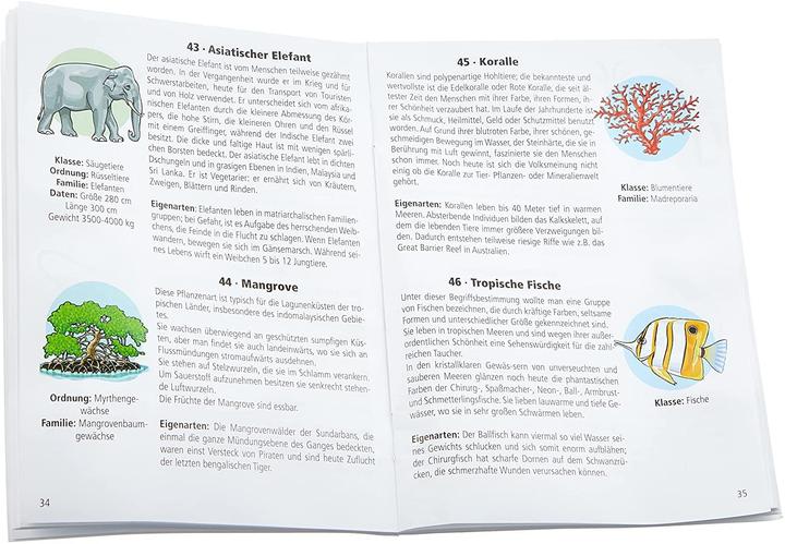 Image du produit Globe terrestre Animaux de la Terre (Allemand, Räthgloben 1917 Verlags GmbH (édition), 2014)