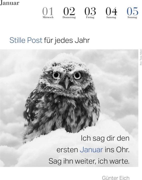 Immagine prodotto Il calendario dei gufi letterari 2025 (24 x 32 cm, Copertina rigida, Tedesco)