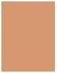 Produktbild Erborian BB Creme Dore (Doré)